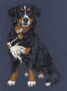 Hundeportrait gezeichnet Berner Sennenhund für Rinti Hundefutter