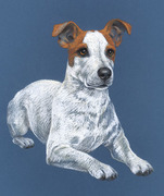 Zeichnung Hund für Rinti Hundefutter