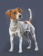 Zeichnung Hund Terrier für Rinti Hundefutter
