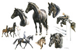 Tierportrait Aquarell