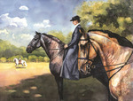 Pferdemalerei Lusitano